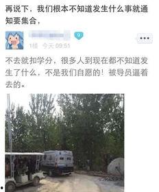 河北美院爆料视频最新版,揭秘校园内幕与真相